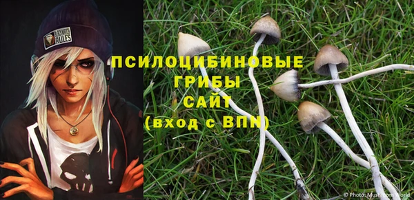 спиды Балахна