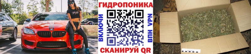 МАРИХУАНА гибрид  купить наркотик  ссылка на мегу как войти  Йошкар-Ола 